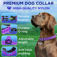 Reflective Neoprene Padded Dog Collar with Quick Release Buckle – Essentials for Dogs - Purple / Small - image 2