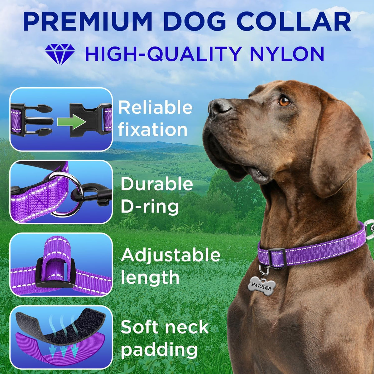 Reflective Neoprene Padded Dog Collar with Quick Release Buckle – Essentials for Dogs - Purple / Small - image 2