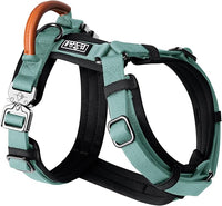 MADE TO ROAM Premium Explorer Harness - Y-Shaped Dog Harness with Adjustable Durable Nylon, Soft Padding, Metal Buckles and Leather Handle for Small, Medium, Large Dogs (Florida Seaside, Size 2)