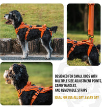 OneTigris Dog Lift Harness for Small Dogs XS - X-Small / Orange - image 3