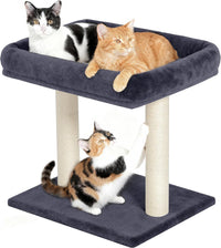 19" Small Cat Tree with Scratching Post for Indoor Cats with Perch – Essentials for Cats - Dark Gray