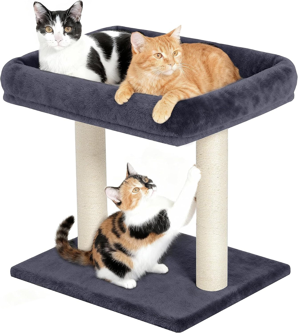 19" Small Cat Tree with Scratching Post for Indoor Cats with Perch – Essentials for Cats - Dark Gray