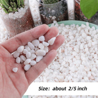 CJGQ 2.4lb Aquarium Gravel for Plants - white / 18 lb (1/4 in) - image 3