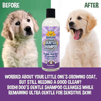 Bodhi Dog Premium Gentle Shampoo - Soothing, Ultra-Gentle Puppy Shampoo with Aloe Vera & Lavender Oil - Natural Moisturizing Pet Wash for Puppies, Dogs & Cats (17 Fl Oz)