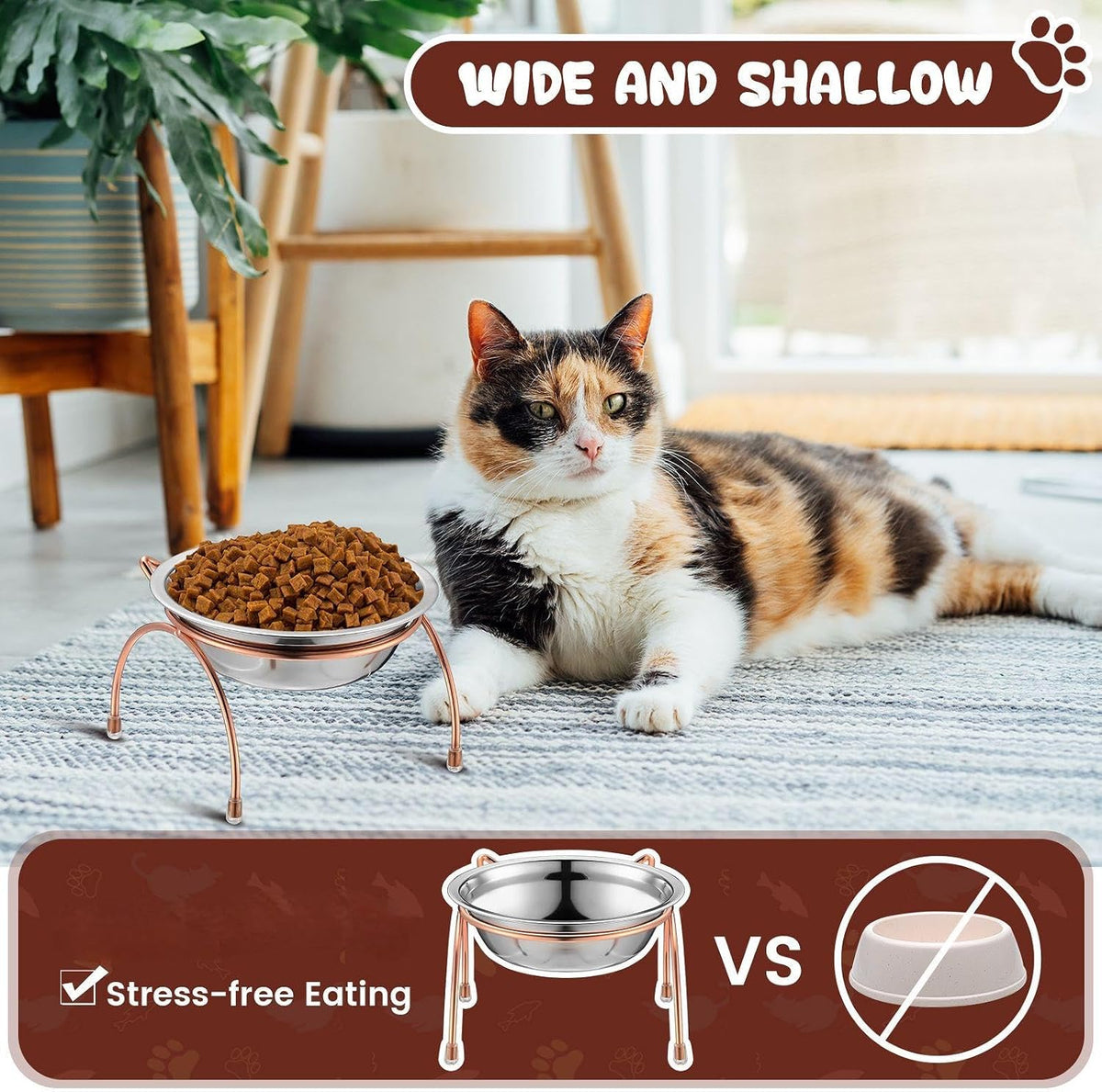 6 Sets Elevated Cat Bowls Stainless Steel, 5.5" Wide with Stand – Essentials for Cats - image 4