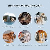 MalsiPree Calming Chews for Dogs - 145 pcs Salmon - Helps Regulate Mood - Anxiety Relief Treats - No Sedative Effect - Freeze Dried - with Passion Flower & Melatonin