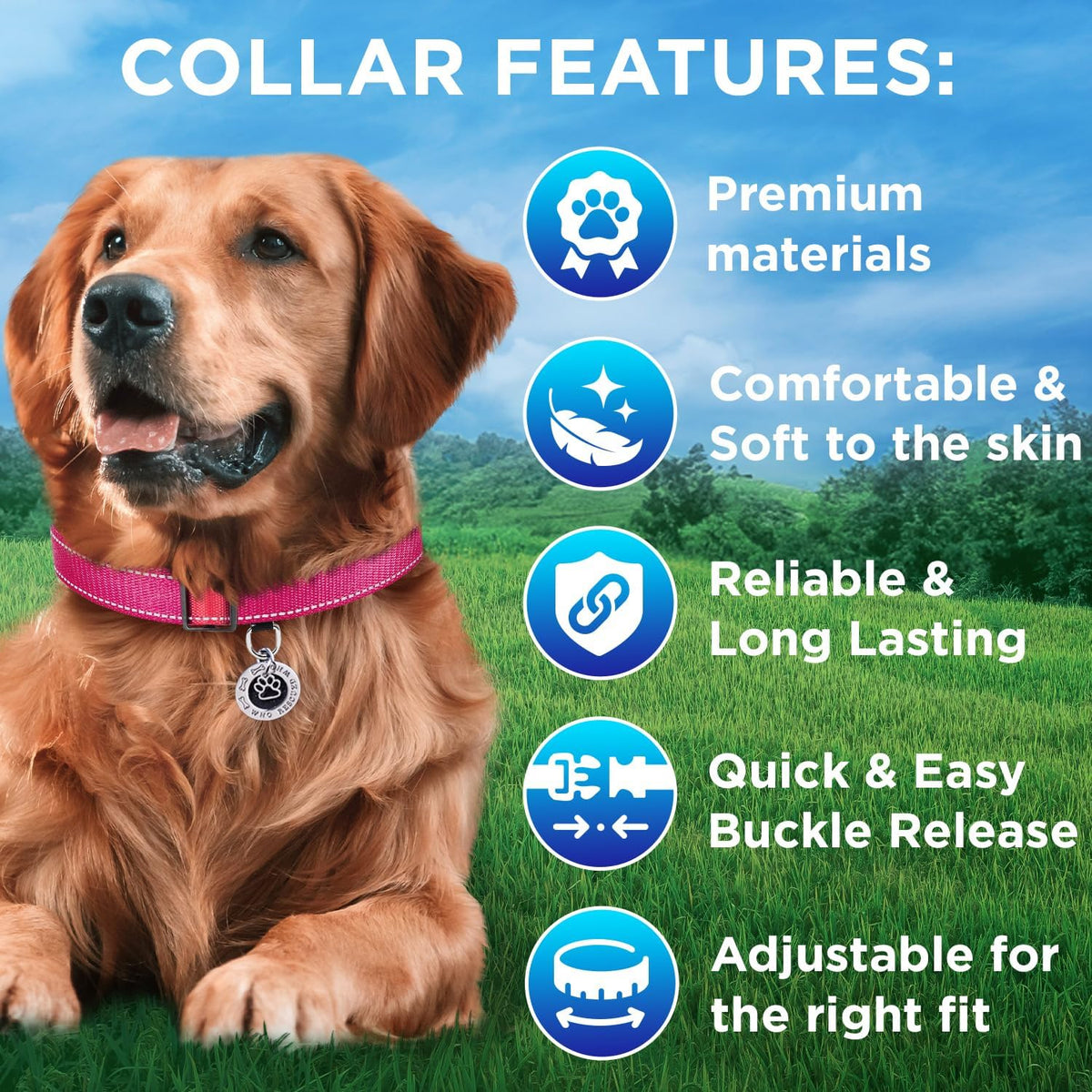 Reflective Neoprene Padded Dog Collar with Quick Release Buckle – Essentials for Dogs - Hot Pink / XX-Small - image 3