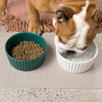 Waggo Ripple Ceramic Dog Bowl for Medium and Large Breeds - Modern with Matte Finish, Heavyweight Durable Pet Food and Water Dish Crock, Dishwasher Safe (Large, White)