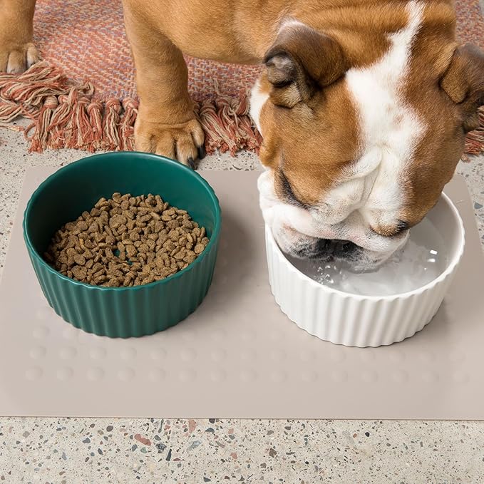 Waggo Ripple Ceramic Dog Bowl for Medium and Large Breeds - Modern with Matte Finish, Heavyweight Durable Pet Food and Water Dish Crock, Dishwasher Safe (Large, White)