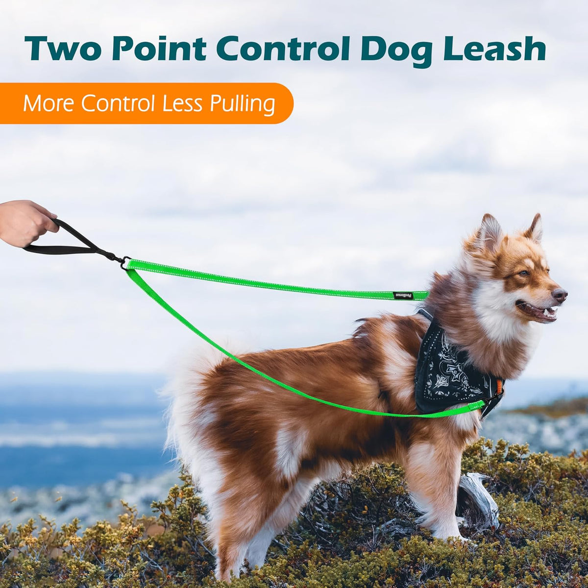 Two Point Control Dog Leash, No Tangle Training Walking Leashes – Essentials for Dogs - Grass Green - image 2