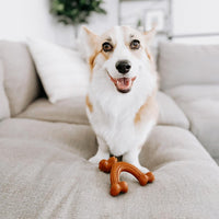 Nylabone Power Chew Customer Favorites Dog Chew Toys - Small / Wishbone - image 2