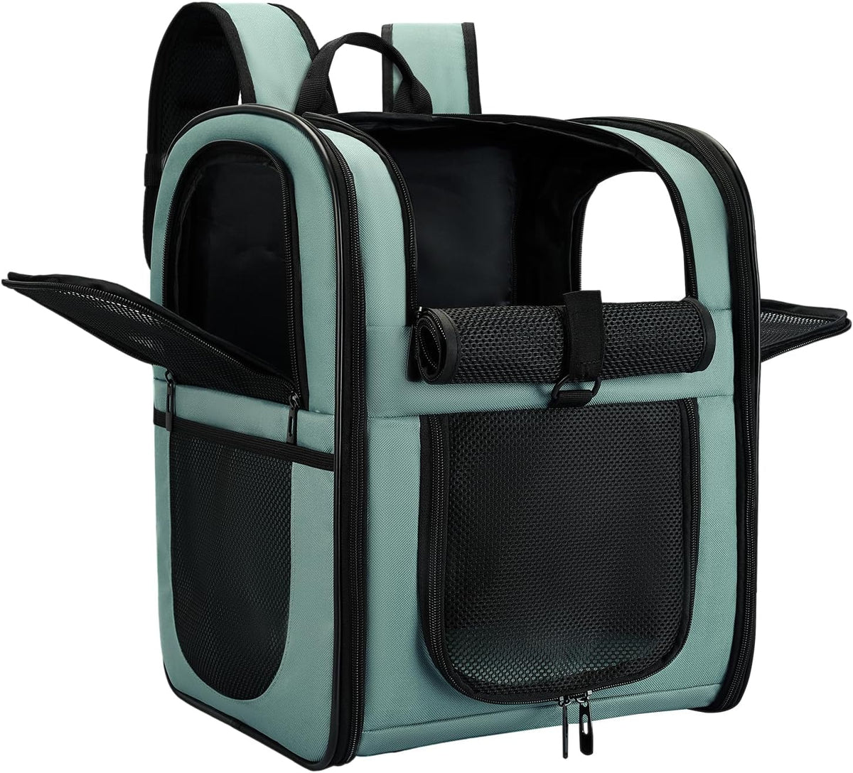 Apollo Walker Cat Backpack Carrier, Support Frame - Blue / Medium-Standard