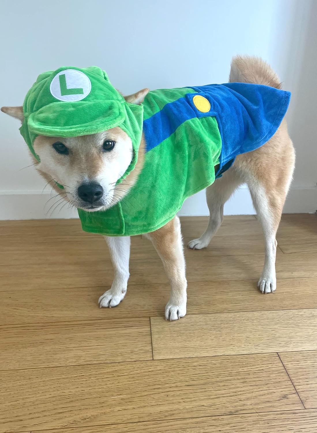 ComfyCamper Hat and Suspenders Dog Costume - Small / Green - image 3