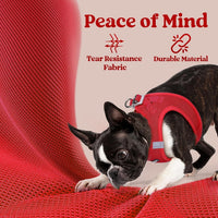 rabbitgoo Step-in Small Dog Harness - Red / M(chest:16.0"-18.5") - image 4