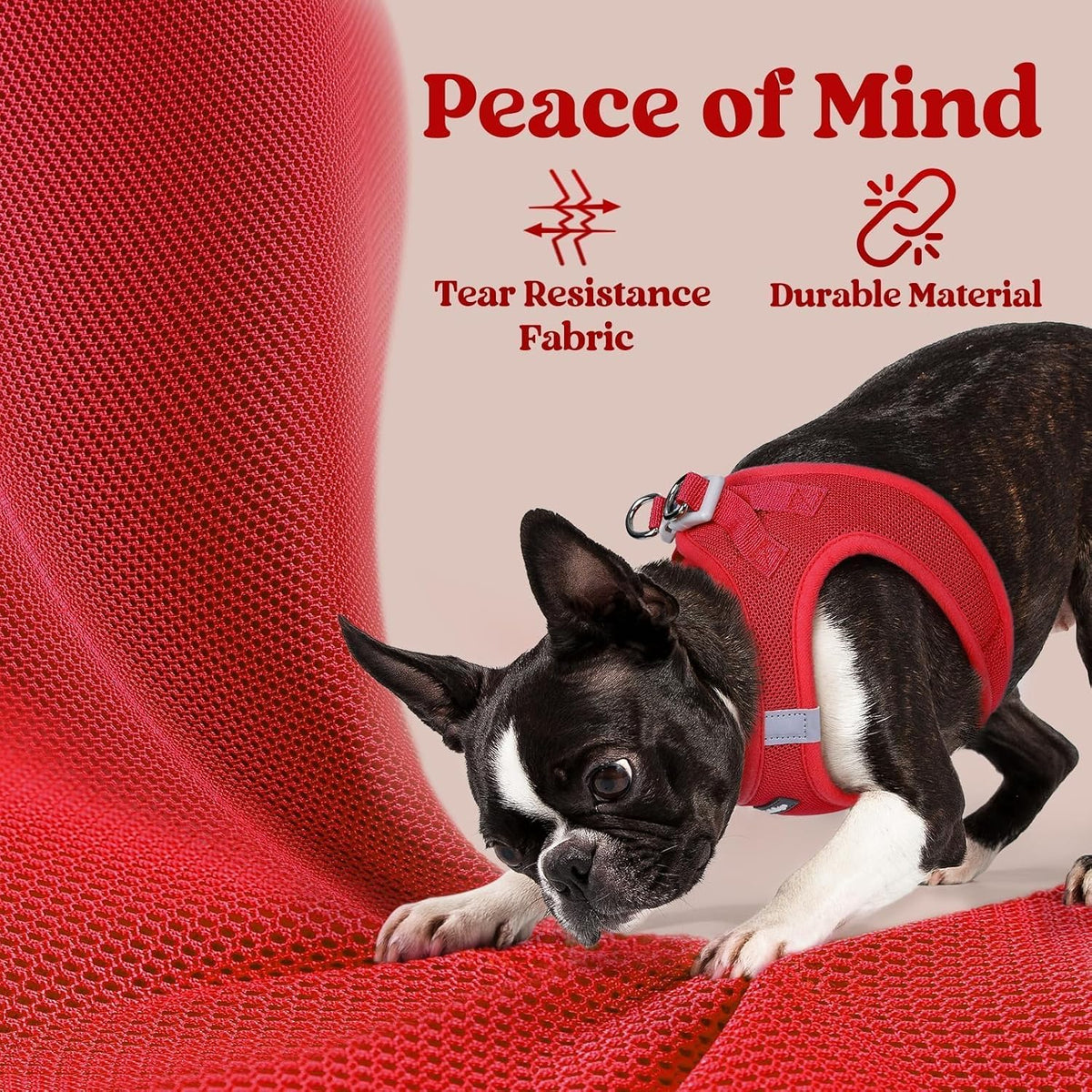 rabbitgoo Step-in Small Dog Harness - Red / M(chest:16.0"-18.5") - image 4