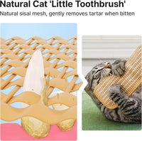 Potaroma Cat Toys Pack of 2 with 6000mg A+ Organic Catnip - image 4