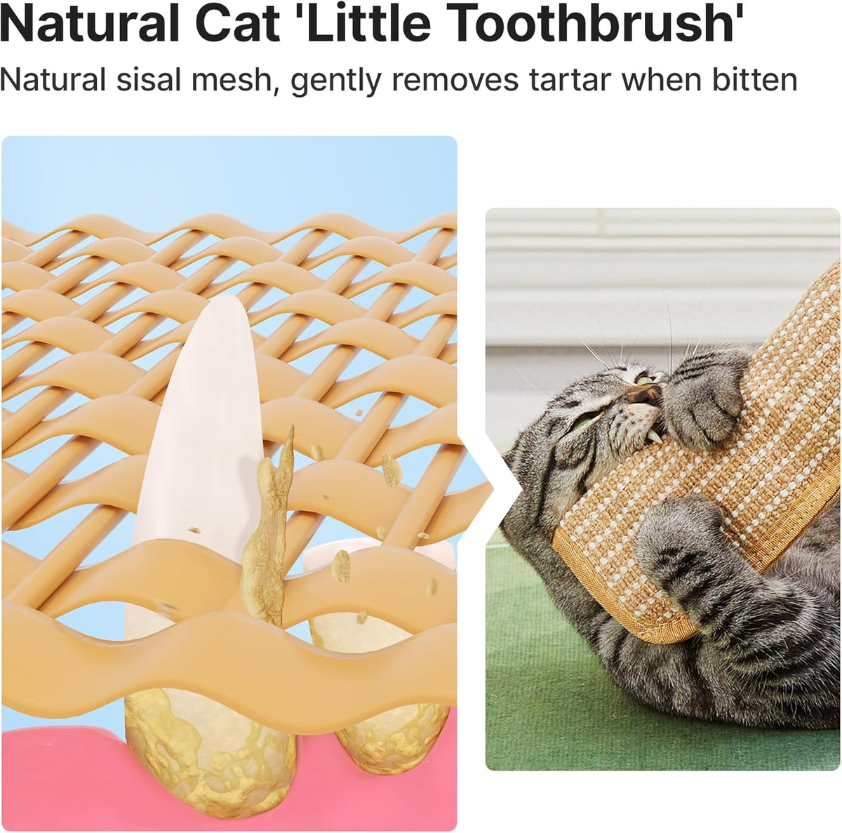 Potaroma Cat Toys Pack of 2 with 6000mg A+ Organic Catnip - image 4