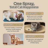 JAYU PET Active MATA Spray – 100% Natural Silvervine Spray for Cats, Liquid Catnip Alternative, Calming Spray for Indoor Kittens, Boosts Play & Engagement, Reduces Stress (1 fl oz)