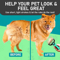 Maxpower Planet Hair Brush - Double Sided Shedding, Dematting Undercoat Rake for Dogs and Cats - Extra Wide Dog Grooming Brush, Reduce Shedding by 95%, Turquoise