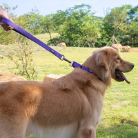 Hyhug Pets Premium Upgraded Heavy Duty Nylon Anti-Escape Martingale Collar for Pup Dogs Comfy and Safe - Professional Training, Daily Use Walking. (Small, Ultra Violet)