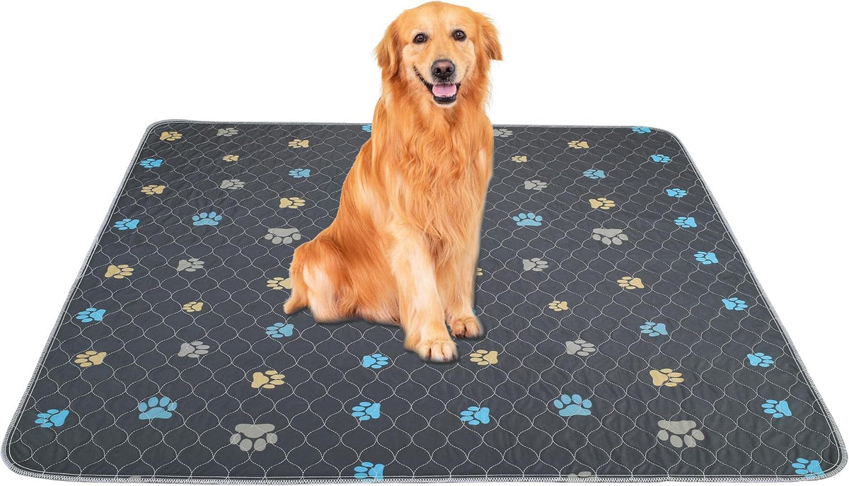 Aitmexcn Washable Pee Pads for Dogs, 24''x36'' - Colour Paws / 48*65''-2pcs