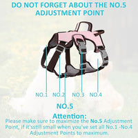 Escape Proof Dog Harness, No Pull Reflective Adjustable Vest with Easy Control Lift Handle, No Choke Soft Padded Breathable Full Body Pet Harness for Walking Hiking and Training (Pink, Small)