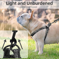 PUPTECK No Pull Dog Harness Soft Adjustable Basic Nylon Step in Puppy Vest Outdoor Walking with Leash Medium