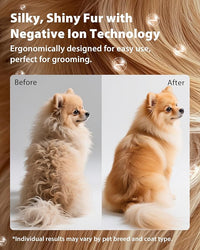 L&W BROS. Hands-Free Dog Dryer – Powerful & Professional Pet Blow Dryer for Small & Medium Dogs & Cats, Adjustable Airflow, Easy Storage, Negative Ion Technology (Green)