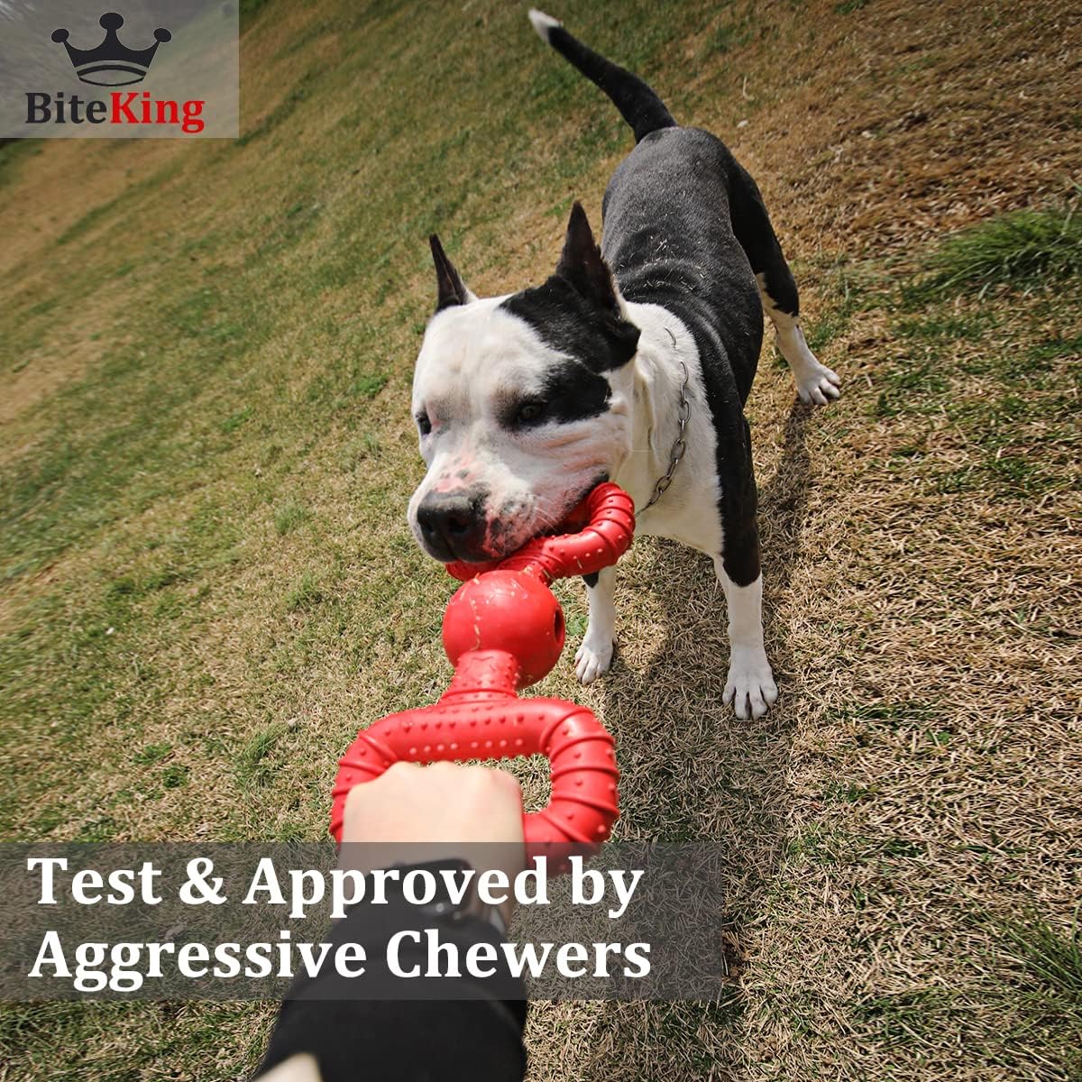 Natural Rubber Dog Toys for Large Aggressive Chewers - Tug Toy - Red / Medium Breed (30 - 70 lb) - image 4