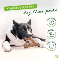 Benebone Medium 3-Pack, Wishbone Durable Dog Chew Toy for Aggressive Chewers, Real Bacon, Chicken, Peanut Butter, Made in USA, Variety Pack