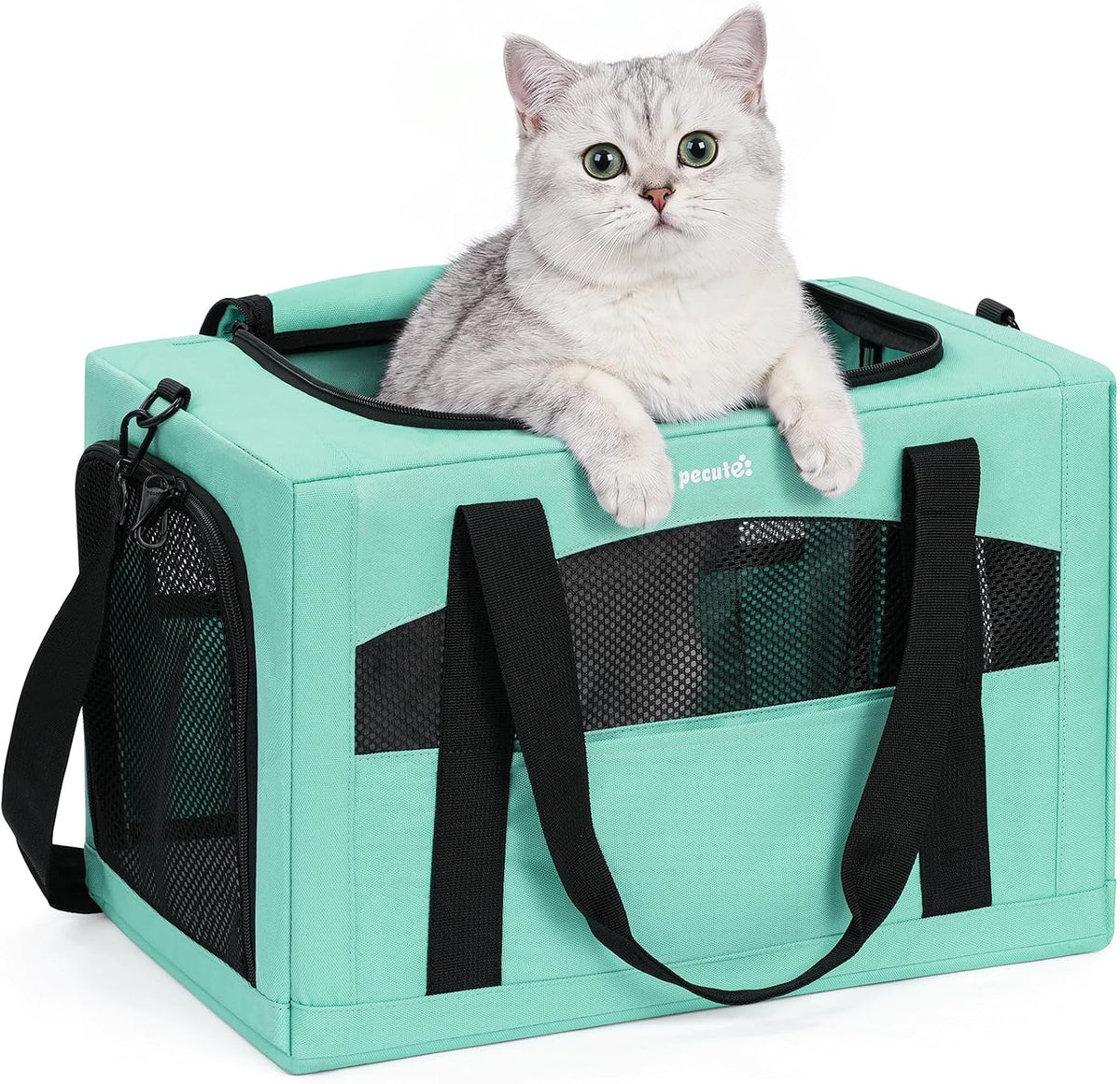 Pecute Cat Carrier Stable, Pet Carrier with Privacy Partition - Light Green / 16.9"L x 11.0"W x 11.0"H