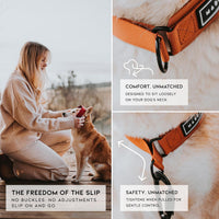 MADE TO ROAM Premium Everyday Dog Collar - Colorado Nightsky / Size 10 - image 2