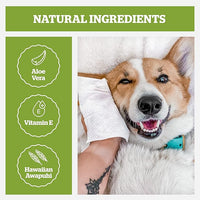 Pogi’s Dog Wipes Travel Packs – Hypoallergenic Pet Wipes for Paws, Body & Butt – Cleaning & Hydrating, Green Tea Scent, 240-Count