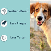 NOVEHA Pet Dental Powder | Vet-Approved Oral Care for Dogs & Cats | Natural Plaque Remover for Dogs Fresh Breath Formula | Easy Teeth Cleaning for Daily Use (2 - Packs)