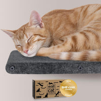 Cat Wall Shelves Set, Indoor & Outdoor by Pryde Pets - Charcoal / 1 Long Cat Climber