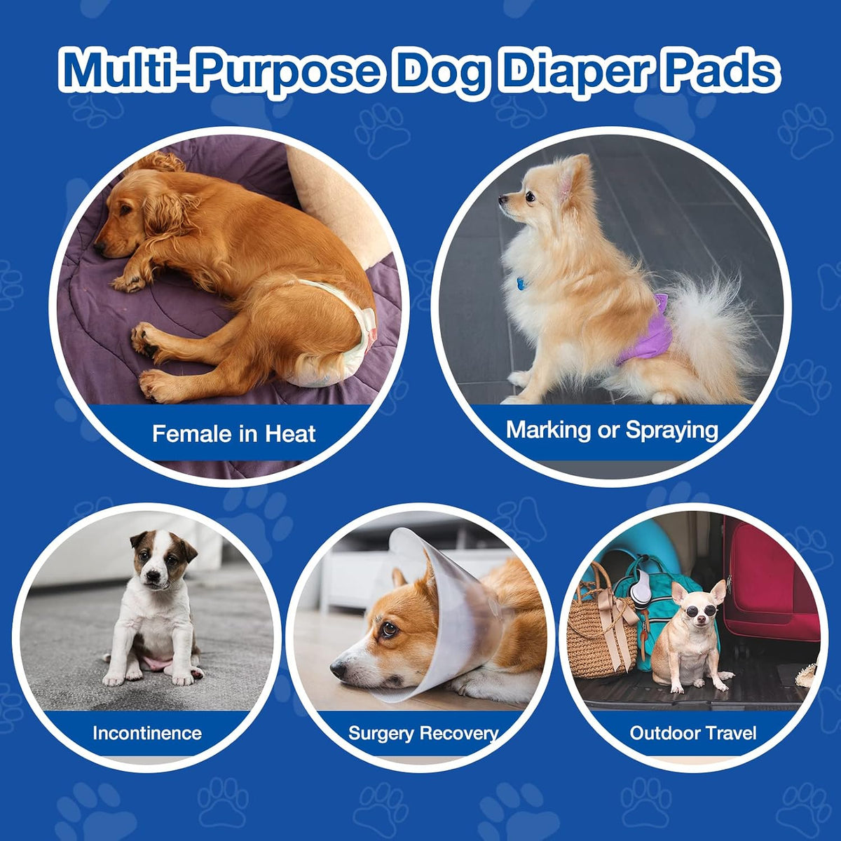 Disposable Dog Diaper Booster Pads XS - Paws / XL - (40 Count) - image 2
