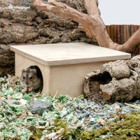 Niteangel Birch Chamber-Maze Hamster Hideout - 2 Chamber Hideout-Small - image 3