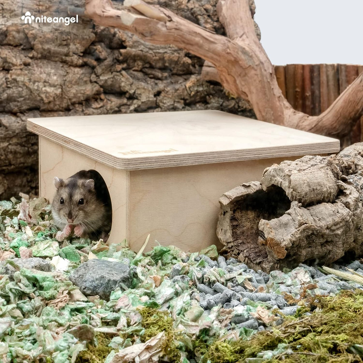Niteangel Birch Chamber-Maze Hamster Hideout - 2 Chamber Hideout-Small - image 3