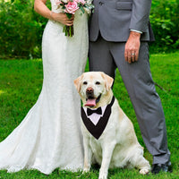 ADOGGYGO Dog Tuxedo Collar, Wedding Dog Bow Tie - Large / Black - image 3
