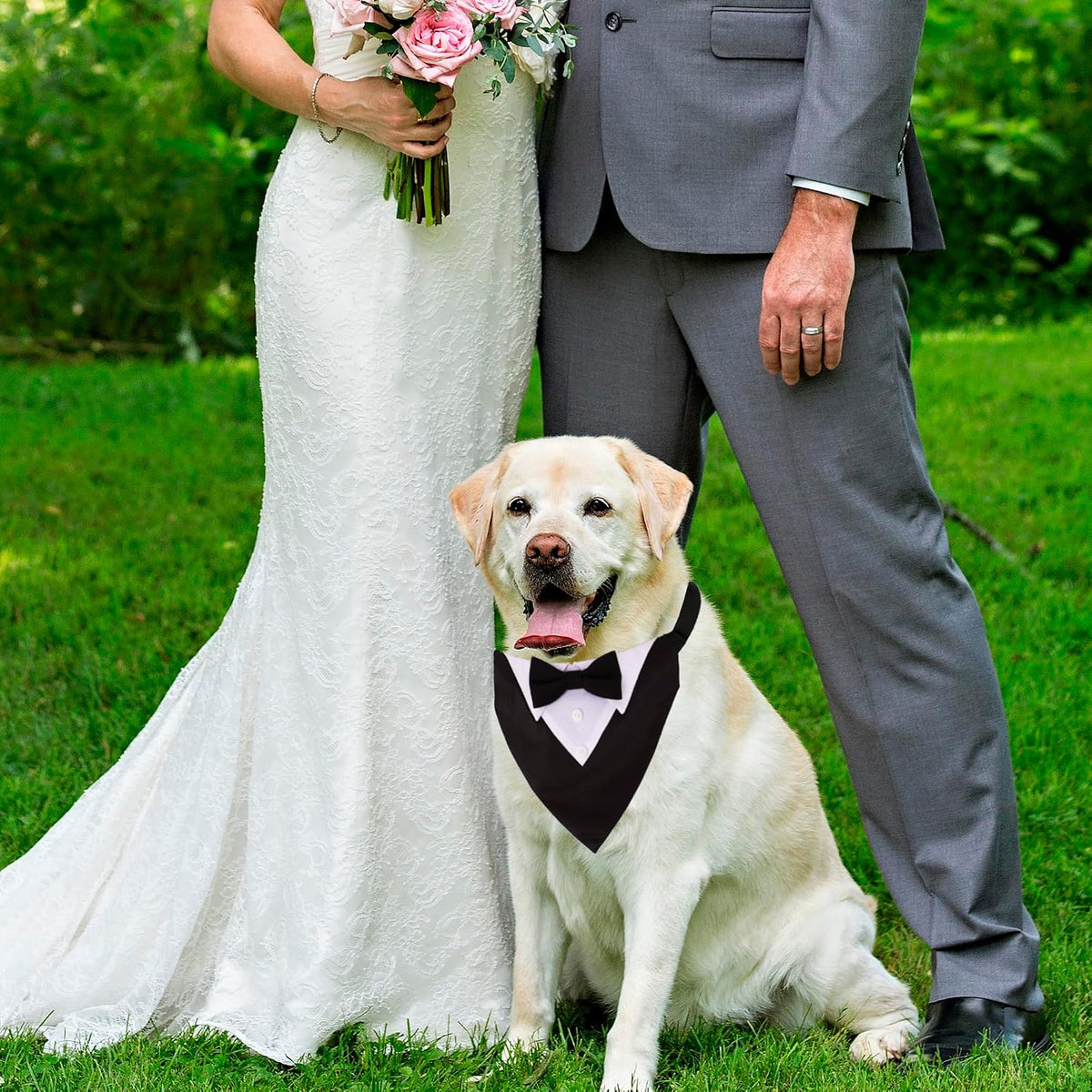 ADOGGYGO Dog Tuxedo Collar, Wedding Dog Bow Tie - Large / Black - image 3