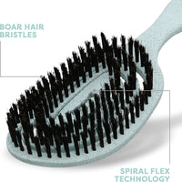 BioSilk for Pets Eco-Friendly Detangling Pin Brush for Dogs – Essentials for Dogs - Detangling Pin Brush / 1 Count (Pack of 1) - image 3