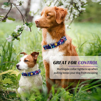Hikiko Martingale Dog Collar Without Buckle - Colourful Blossoms / Medium - image 3