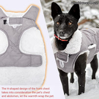 Dog Winter Coat for Cold Weather - Grey / Medium - image 4