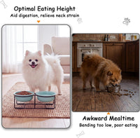 Ceramic Elevated Dog Bowls with Stand - Green / S × 2 - image 3