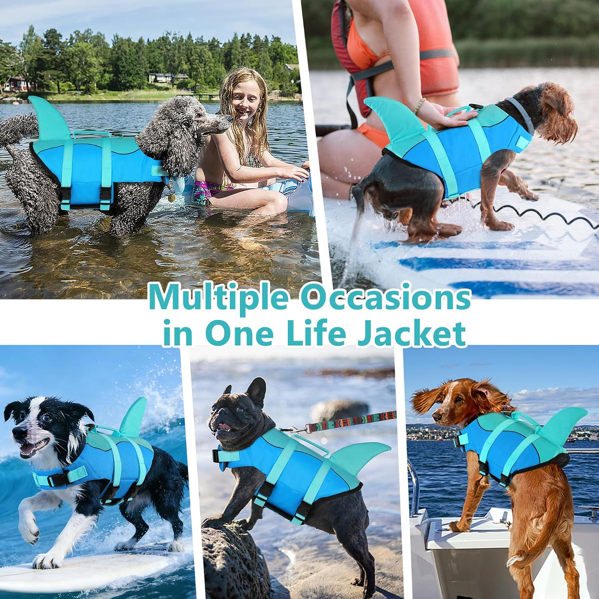 Dogcheer Dog Life Jacket, Cute Shark Dog Life Vest for Swimming Boating with Superior Buoyancy - Pool Blue / X-small - image 3