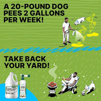 Urine & Odor Turf Detox: 32 oz Mango Scented Professional Enzyme Cleaner & Odor Eliminator for Artificial Grass, Turf, Concrete & Patios, Pet Urine Enzymatic Cleaner for Dogs & Cats