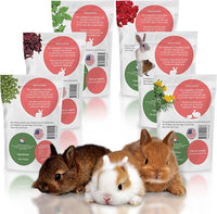 Snout and Shell Small Pet Mega Pack – 6 Natural Treats: Pea Flakes, Dandelion, Raspberry Leaf, Marigold, Rose Petals & Hibiscus – For Rabbits, Guinea Pigs, Chinchillas & More – Foraging & Health Boost