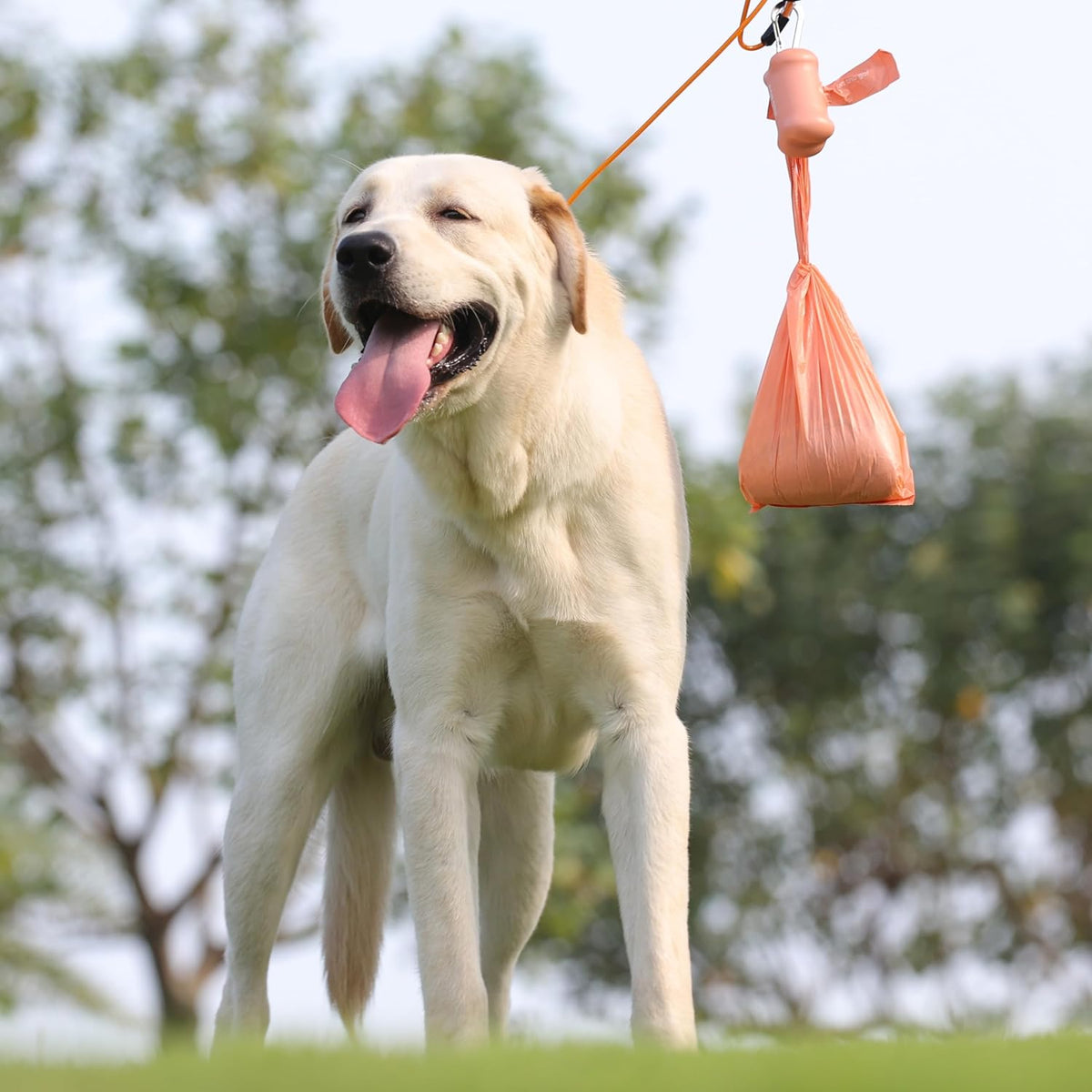 Deo Doo Dog Poop Bags with Handles & Holder, Peach Scented - Peach / 1 Count (Pack of 360) - image 4