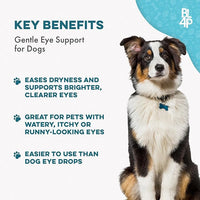 Dog Eye Care & Infection Treatment, Natural Dog Supplements for Conjunctivitis, Swelling, Dry Eyes and Discharge, Easy to Use, No More Struggle with Canine Drops, 400 Small Pills