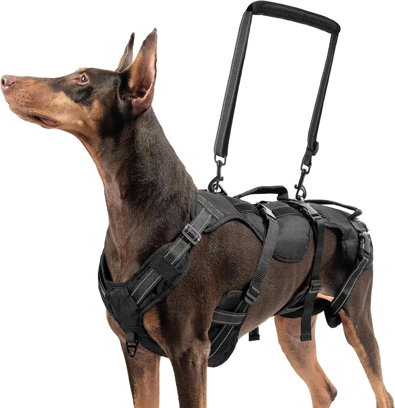 BINGPET Dog Lift Harness for Medium Dogs - Black / Medium